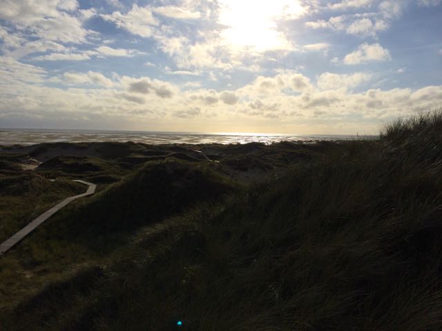 amrum-duenen