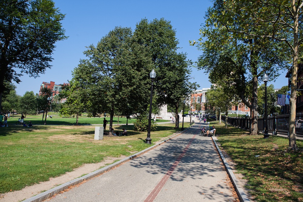 Ein Park, Rasenfläche, ein befstigter Weg, in der MItte eine Linie aus roten Ziegelsteinen
