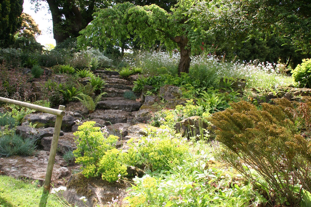 Der Japanische Steingarten