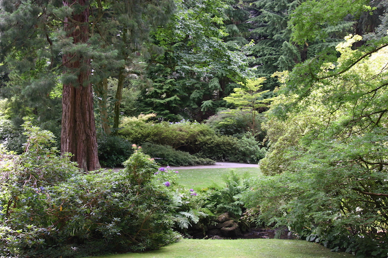 Die Rhododendren waren bei unserem Besuch im Sommer schon ausgeblüht. Übrig blieb ein ganz wunderbarer Wald zum Spazieren und Seele baumeln lassen