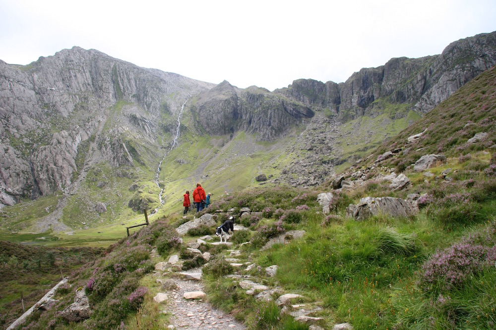Ein Bergpfad auf dem ein Paar Wanderer und ein Hund unterwegs sind
