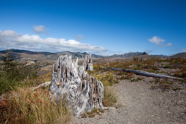 Mount St. Helens