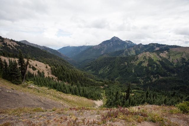 Wanderweg am Hurricane Ridge