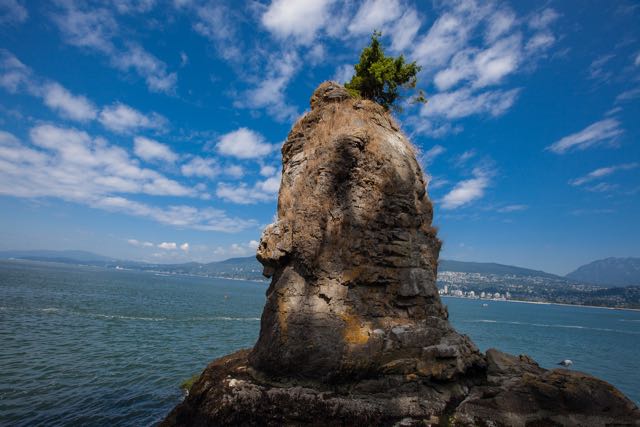 Der Pineapple im Stanley Park in Vancouver