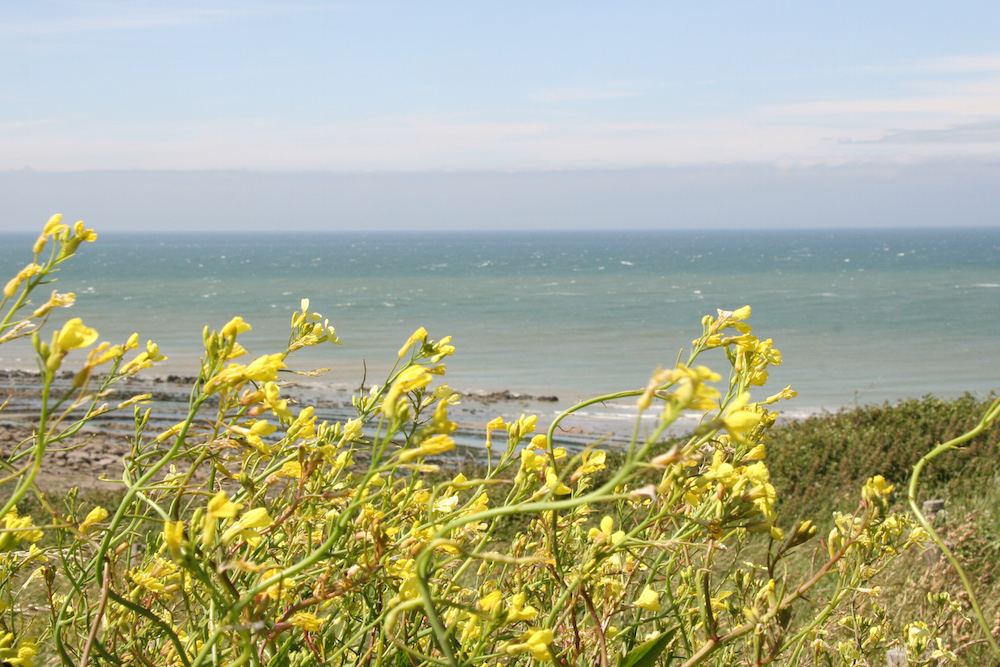 Am Cap Griz Nez