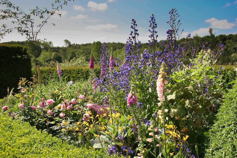 Ein Beet mit Lupinen, Fingerhut, Pfingstrosen