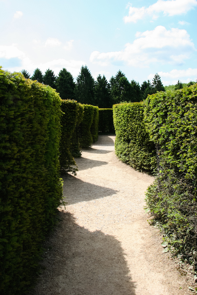 Hohe Hecken im Labyrinth