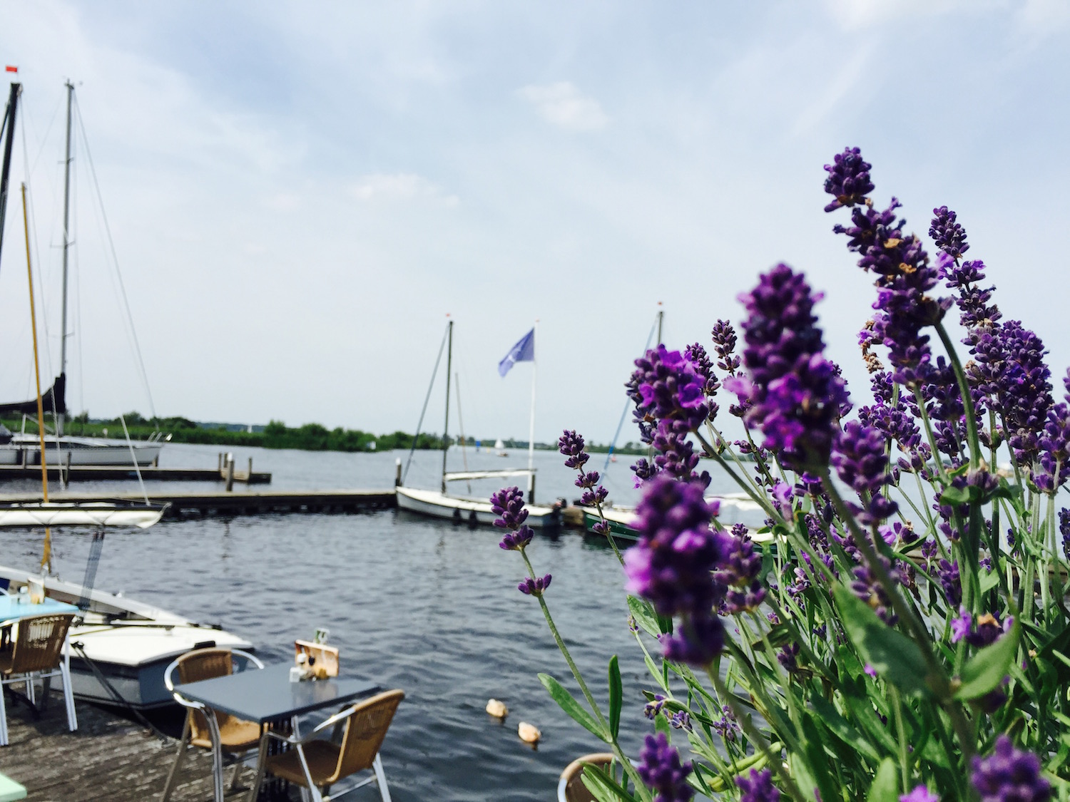 Lavendel im Vordergrund, im Hintergrund der Bootsanleger