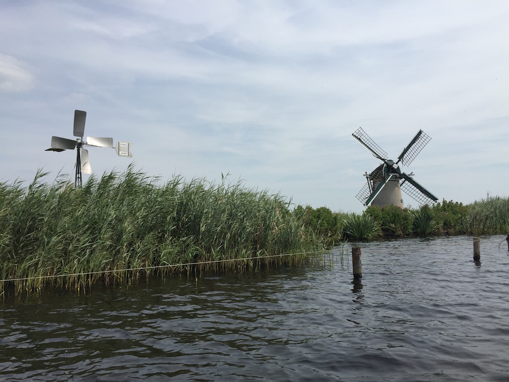 Eine Windmühle direkt am Ufer