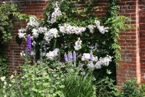 Mount Ephraim Gardens der etwas andere Garten Heikes Reiseblog