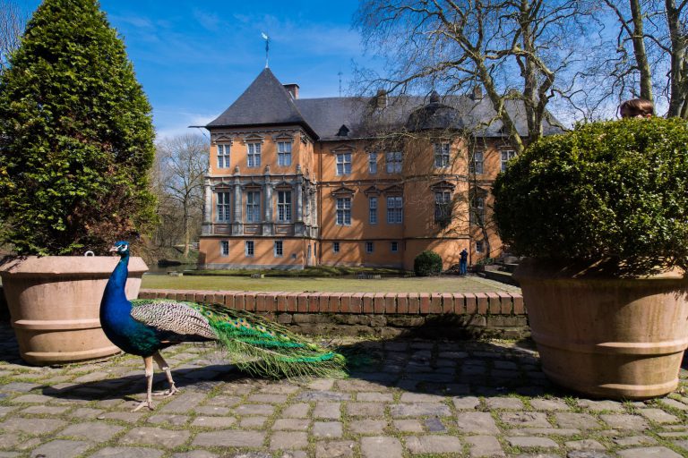 Schloss Rheydt, der Wasserschloss am Niederrhein Heikes Reiseblog
