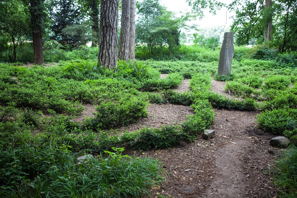 750 kleine Stechpalmen formen ein Labyrinth