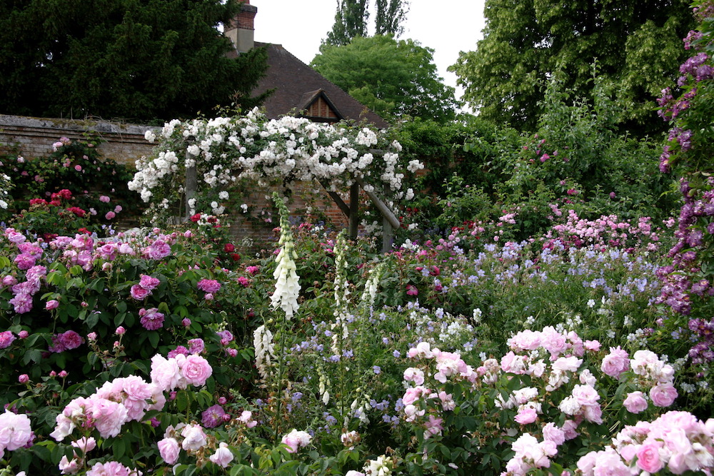 Rosenpracht Mottisfont Abbey