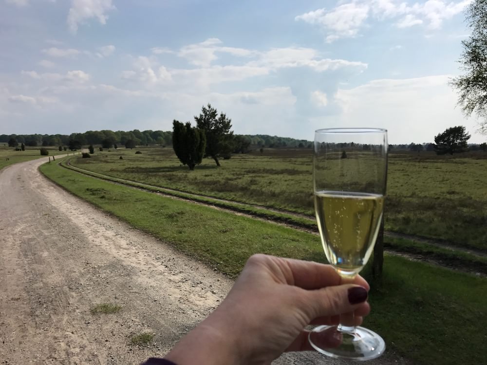 Champagner in der Lüneburger Heide