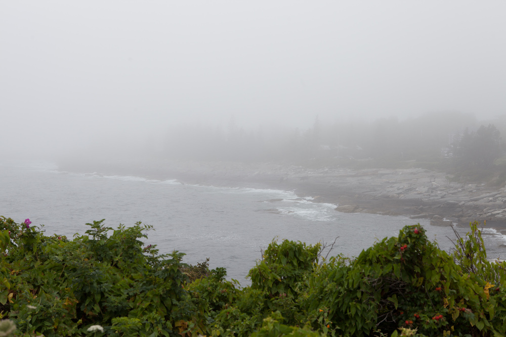 Maine im Nebel