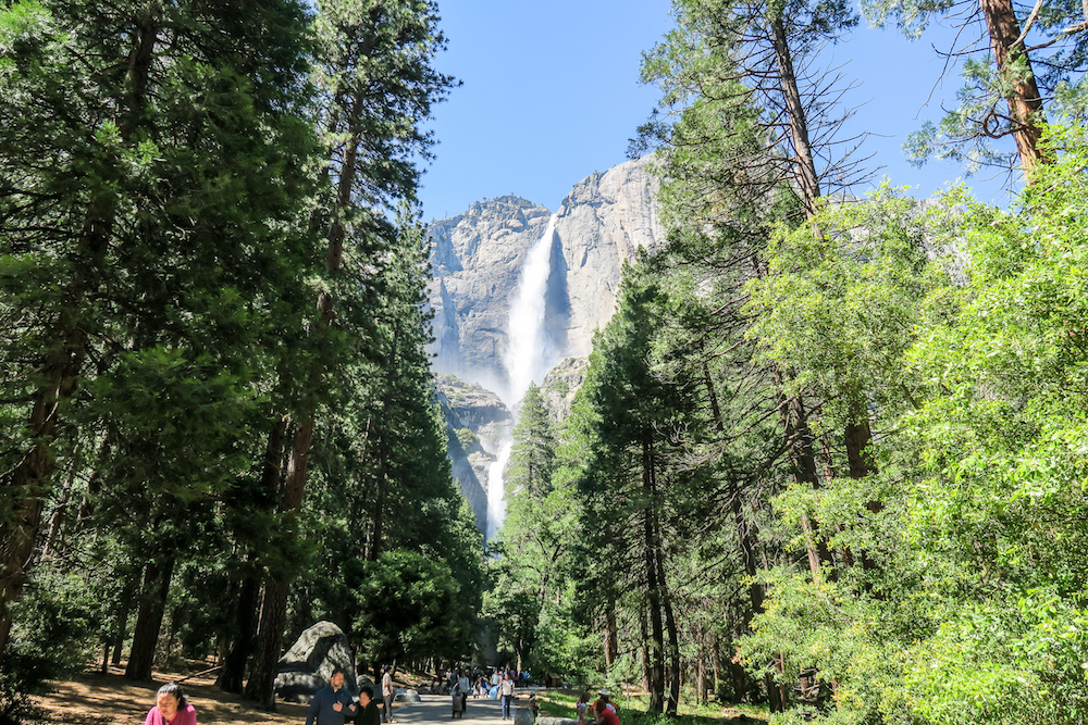 Auf dem Yosemite Falls Trail