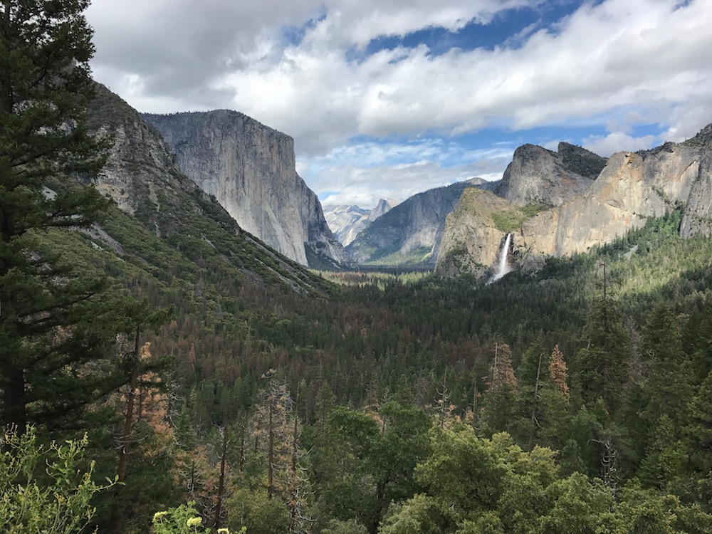 Dieses Panorama eröffnet sich dem Besucher, wenn er ins Yosemite Valley fährt