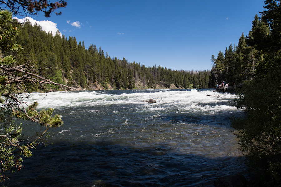 Der Yellowstone River: im Frühsommer ein reißender Strom