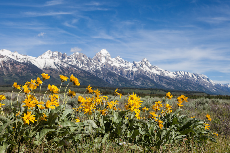 Der Grand Teton Nationalpark