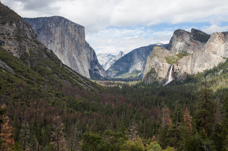 Vom Tunnelview schaut man ins Yosemite Valley: Im Vordergrund der El Capitan, im Hintergrund der Half Dome