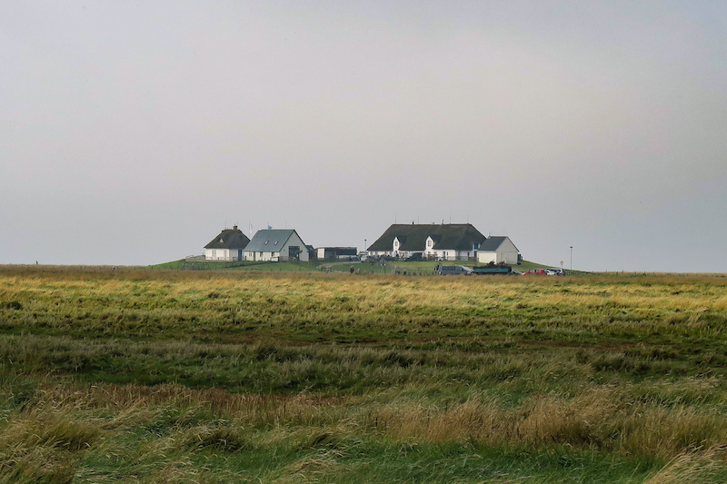 Ein 4 km langer Damm führt euch auf die Hambrger Hallig