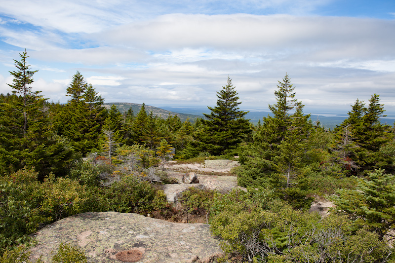 Auf dem Cadillac Mountain im Sonnenschein