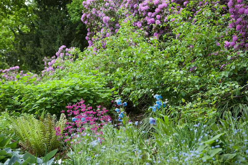 In den Secret Garden verirren sich wenige Besucher.