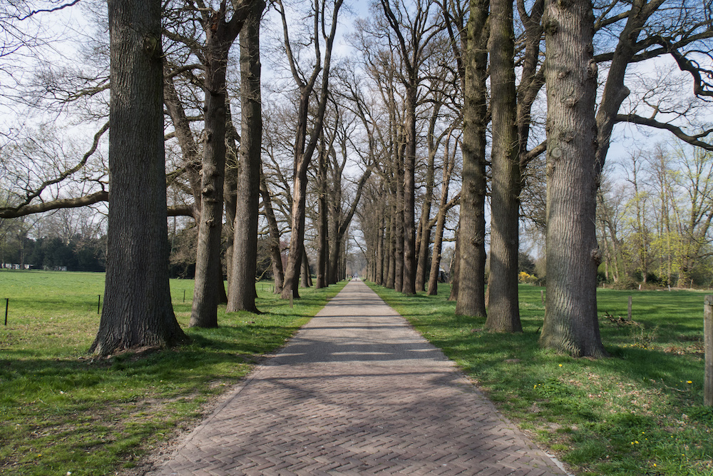 Auf dem Weg zum Schloss Twickel