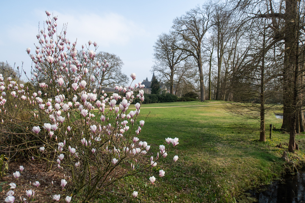 Seit 250 Jahren ist der Park von Schloss Twickel ein Landschaftspark nach englischem Vorbild