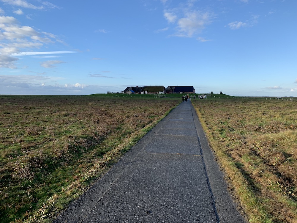 Auf der Hallig Gröde gibt es nur eine Warft