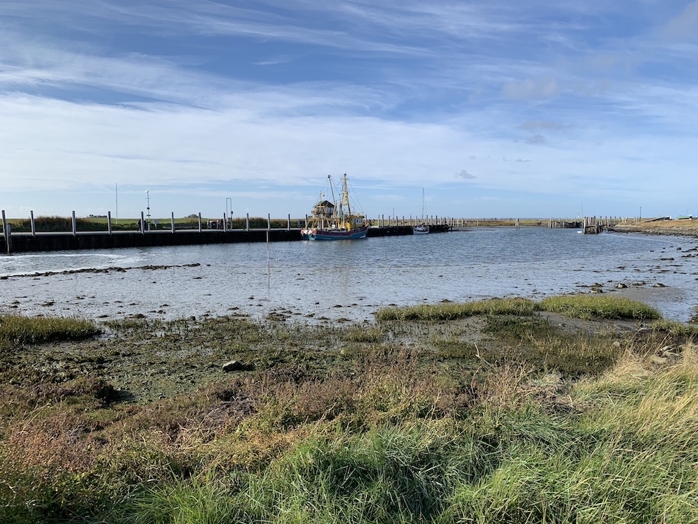 Auf Hallig Hooge gibt es sogar einen kleinen Innenhafen