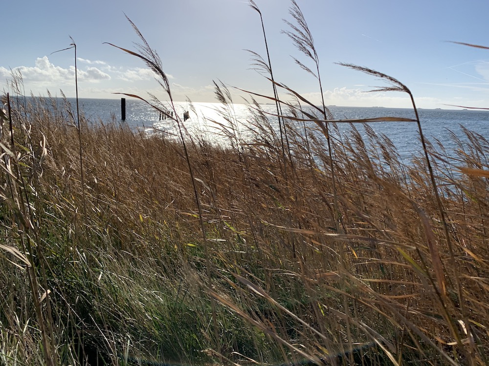 Wunderbare Stimmung auf der Hallig Langeneß