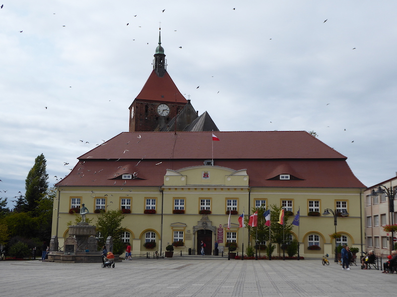 Das Rathaus in Darłowo, im Hintergrund die Marienkirche