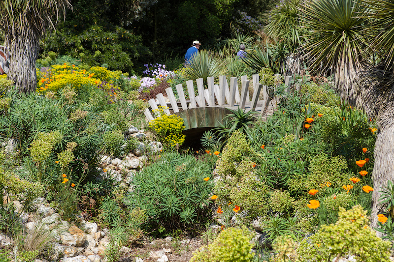 Neben dem Courtyard fand ich den Desert Wash Garden besonders schön. Aber eigentlich sind alle Teile des Gartens ein Traum.