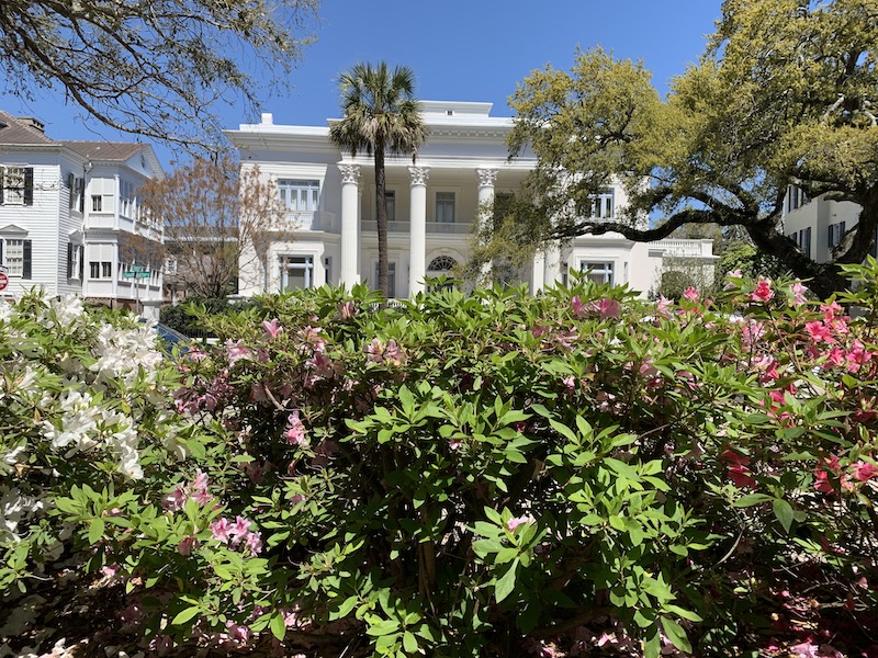 Auch in Charleston verliebe ich mich wieder in die wunderschönen Häuser im Greek Revival Style, der für die Südstaaten so typisch ist