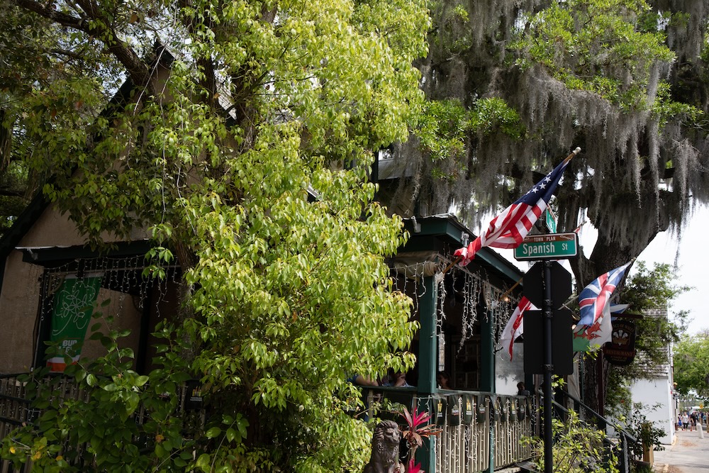 Spanish Moss