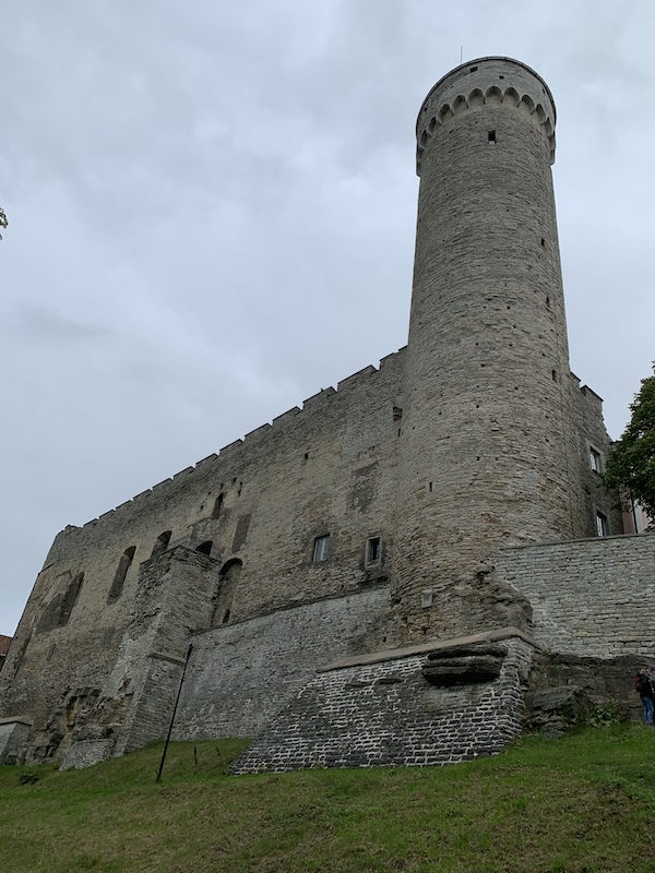 Burg Tallinn mit dem Langen Herrmann